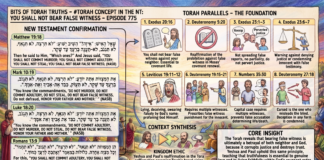 Bits of Torah Truths – #Torah Concept in the NT: You shall not Bear false witness – Episode 775