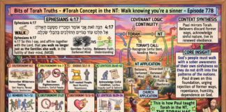 Bits of Torah Truths – #Torah Concept in the NT: Walk knowing you’re a sinner – Episode 778