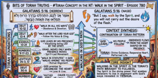 Bits of Torah Truths – #Torah Concept in the NT: Walk In the Spirit – Episode 780