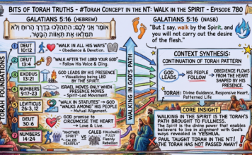 Bits of Torah Truths – #Torah Concept in the NT: Walk In the Spirit – Episode 780