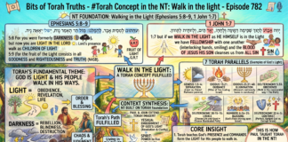 Bits of Torah Truths – #Torah Concept in the NT: Walk In the light – Episode 782