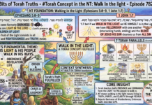 Bits of Torah Truths – #Torah Concept in the NT: Walk In the light – Episode 782
