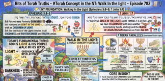 Bits of Torah Truths – #Torah Concept in the NT: Walk In the light – Episode 782
