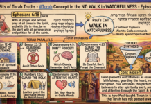 Bits of Torah Truths – #Torah Concept in the NT: Walk in watchfulness – Episode 783