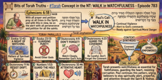 Bits of Torah Truths – #Torah Concept in the NT: Walk in watchfulness – Episode 783