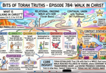 Bits of Torah Truths – #Torah Concept in the NT: Walk In Christ – Episode 784