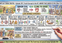 Bits of Torah Truths – #Torah Concept in the NT: Abhor that which is evil – Episode 787