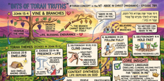 Bits of Torah Truths – #Torah Concept in the NT: Abide in Mashiakh (Christ) – Episode 789