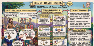 Bits of Torah Truths – #Torah Concept in the NT: Accuse None Falsely – Episode 791