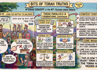 Bits of Torah Truths – #Torah Concept in the NT: Accuse None Falsely – Episode 791