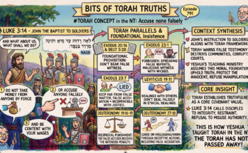 Bits of Torah Truths – #Torah Concept in the NT: Accuse None Falsely – Episode 791