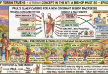 Bits of Torah Truths – #Torah Concept in the NT: A bishop must be Torah Obedient – Episode 788
