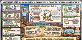 Bits of Torah Truths – #Torah Concept in the NT: Allow no liberty to ensnare you to commit sin – Episode 797