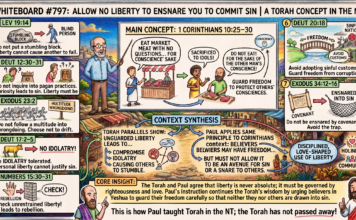 Bits of Torah Truths – #Torah Concept in the NT: Allow no liberty to ensnare you to commit sin – Episode 797