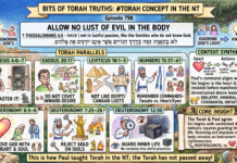 Bits of Torah Truths – #Torah Concept in the NT: Allow no lust of evil in the body – Episode 798