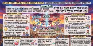 Bits of Torah Truths – #Torah Concept in the NT: Allow no cursing and blessing from the same mouth – Episode 799