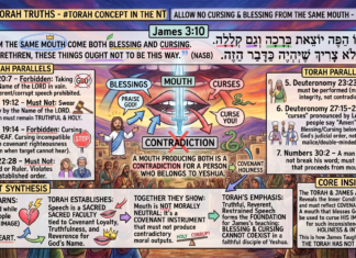Bits of Torah Truths – #Torah Concept in the NT: Allow no cursing and blessing from the same mouth – Episode 799