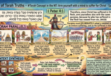 Bits of Torah Truths – #Torah Concept in the NT: Arm yourself with a mind to suffer for Christ – Episode 801