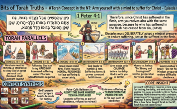 Bits of Torah Truths – #Torah Concept in the NT: Arm yourself with a mind to suffer for Christ – Episode 801