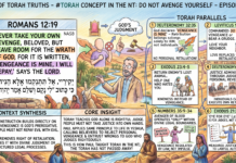 Bits of Torah Truths – #Torah Concept in the NT: Do Not Avenge Yourself – Episode 802