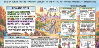 Bits of Torah Truths – #Torah Concept in the NT: Do Not Avenge Yourself – Episode 802