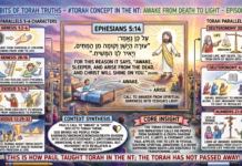 Bits of Torah Truths – #Torah Concept in the NT: Awake from death to light – Episode 803