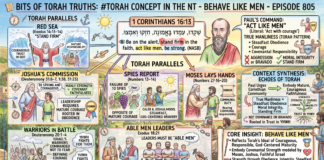 Bits of Torah Truths – #Torah Concept in the NT: Behave like men – Episode 805