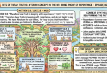 Bits of Torah Truths – #Torah Concept in the NT: Bring proof of repentance – Episode 807