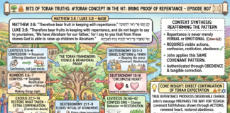 Bits of Torah Truths – #Torah Concept in the NT: Bring proof of repentance – Episode 807