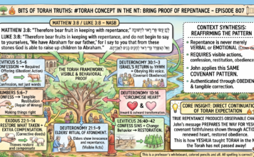Bits of Torah Truths – #Torah Concept in the NT: Bring proof of repentance – Episode 807