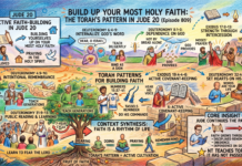 Bits of Torah Truths – #Torah Concept in the NT: Build up your faith – Episode 809