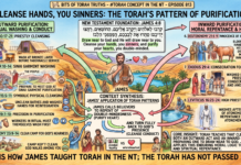 Bits of Torah Truths – #Torah Concept in the NT: Cleanse hands you sinners – Episode 813