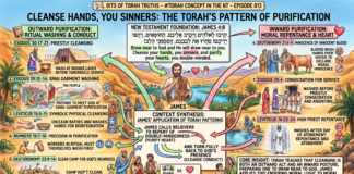 Bits of Torah Truths – #Torah Concept in the NT: Cleanse hands you sinners – Episode 813