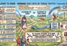 Bits of Torah Truths – #Torah Concept in the NT: Cleave to Good – Episode 814