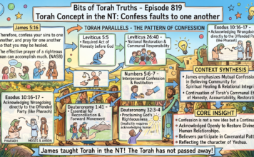 Bits of Torah Truths – #Torah Concept in the NT: Confess faults to one another – Episode 819