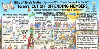 Bits of Torah Truths – #Torah Concept in the NT: Cut off offending members – Episode 821