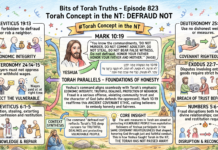 Bits of Torah Truths – #Torah Concept in the NT: Defraud not – Episode 823