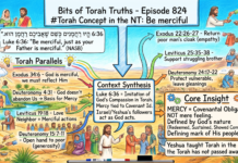 Bits of Torah Truths – #Torah Concept in the NT: Be merciful – Episode 824
