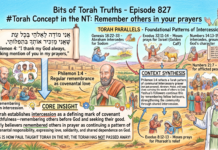 Bits of Torah Truths – #Torah Concept in the NT: Remember others in your prayers – Episode 827