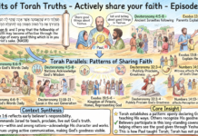 Bits of Torah Truths – #Torah Concept in the NT: Actively share your faith – Episode 828