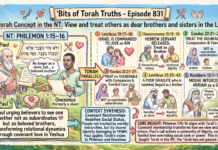 Bits of Torah Truths – #Torah Concept in the NT: View and treat others as dear brothers and sisters in the Lord – Episode 831