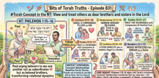 Bits of Torah Truths – #Torah Concept in the NT: View and treat others as dear brothers and sisters in the Lord – Episode 831