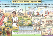 Bits of Torah Truths – #Torah Concept in the NT: Be willing to take responsibility for or pay the debts and wrongs of others – Episode 833