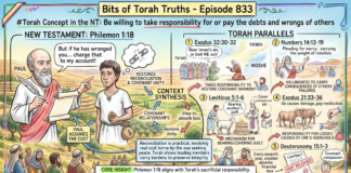 Bits of Torah Truths – #Torah Concept in the NT: Be willing to take responsibility for or pay the debts and wrongs of others – Episode 833