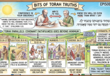 Bits of Torah Truths – #Torah Concept in the NT: Be ready to do even more than what is specifically asked of you – Episode 835