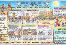 Bits of Torah Truths -#Torah Concept in the NT: Despise not prophesying- Episode 838