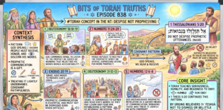 Bits of Torah Truths -#Torah Concept in the NT: Despise not prophesying- Episode 838