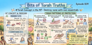 Bits of Torah Truths -#Torah Concept in the NT: Destroy none with non-essentials- Episode 839
