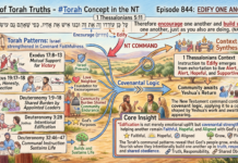 Bits of Torah Truths – #Torah Concept in the NT: Edify one another – Episode 844