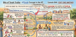 Bits of Torah Truths – #Torah Concept in the NT: Edify one another – Episode 844